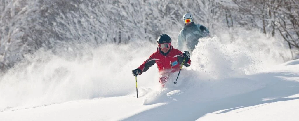 myoko ski school